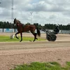 lisandro20101