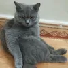 nozuonodie94