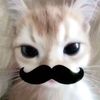 urjunglejim432.gmail.com