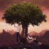 Meelimelo