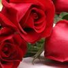 amour123loveo