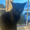 marmite911