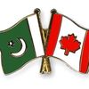 maliktoronto360
