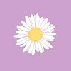 noha.jm3
