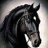 wesam_ben.haela