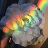 mirage_garden2338