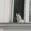 lbotbozhe7