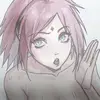 .sakugi