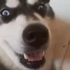 raxonishere