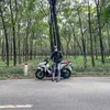 quockhuong0208