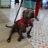 rocky_reuterh
