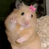 ecnopjiee