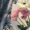 yasha_0325