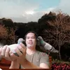 jhunebascoloft