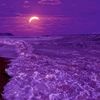 abdualimov68