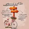 syed.zadi6811