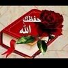 user3586299352379