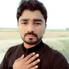 asifwalro69gmail.com