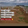 mebrur8