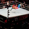 Tiktok_WWE316