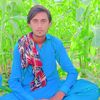 riazhussainpalal
