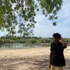 Shamirutt