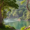 hamedhamed7081