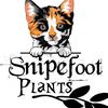 snipefoot_plants