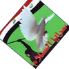 أنصار القائد ✅️