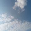 senne2012