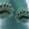 minaadiaryr