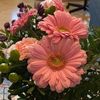 coollady1381