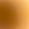 tata_980876