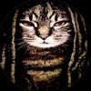 mrfe4r16
