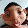 hassan82310