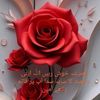 sharjeelkhalil803