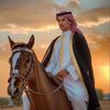 mejidahmed06trz