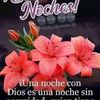 chistoso019
