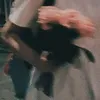 duykhanhhh06