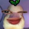 deddddk