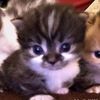 sarita_9045
