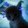 ashleyheng871