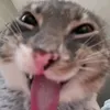 rizzdahuzzz