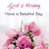 shanti502025love