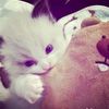 myfrh05_