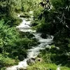 chonqueyenbinh