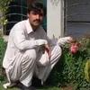 asifktk023