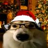 christmas_dog2