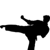 karate12346
