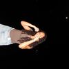 dee.licious9_